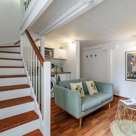 Joli Du Paillon شقة